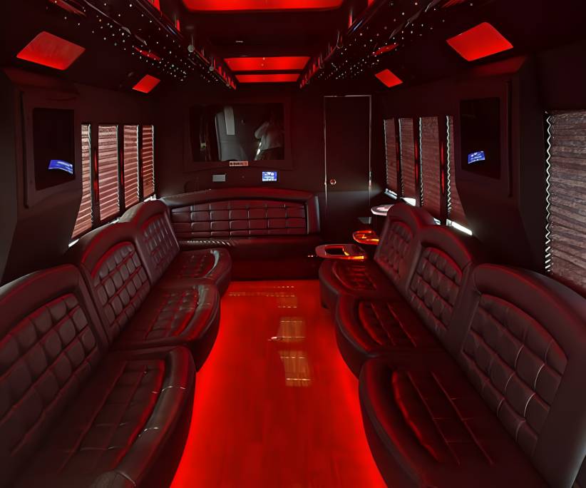 30 Passenger Party Bus Rental Service