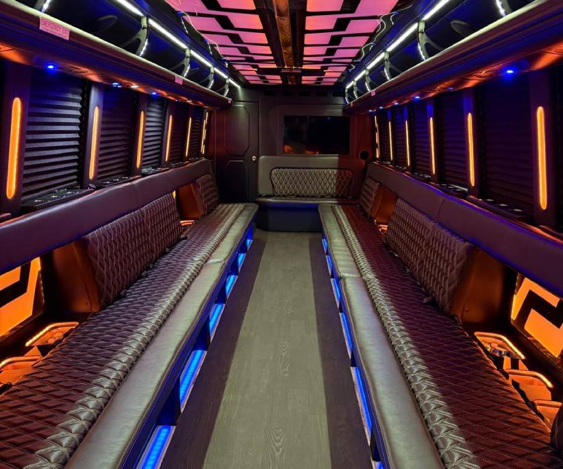 38 passenger party bus rental service