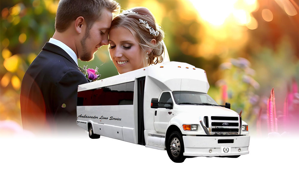 tracy wedding party bus rentals