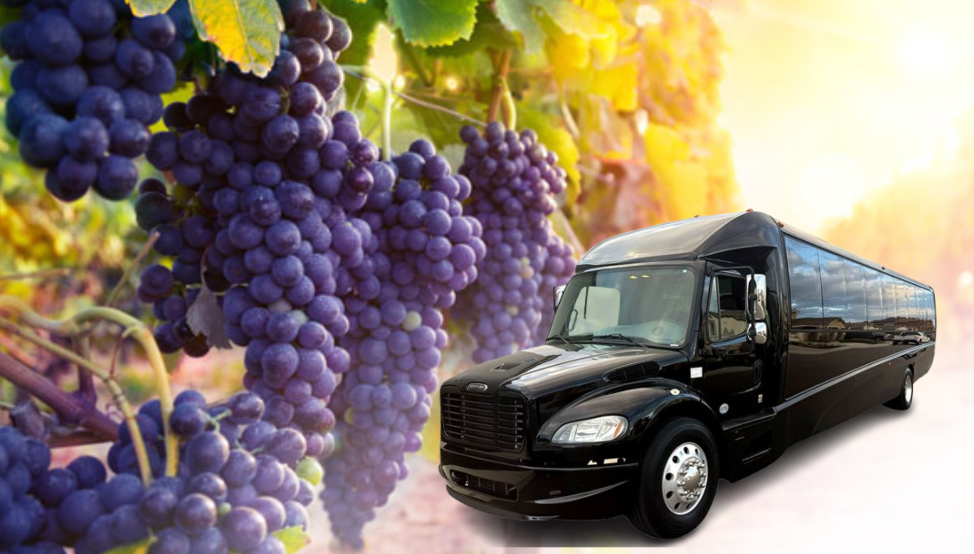 new wine tour party bus