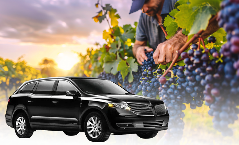 wine tour limo