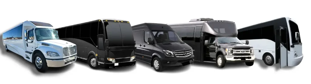 charter buses
