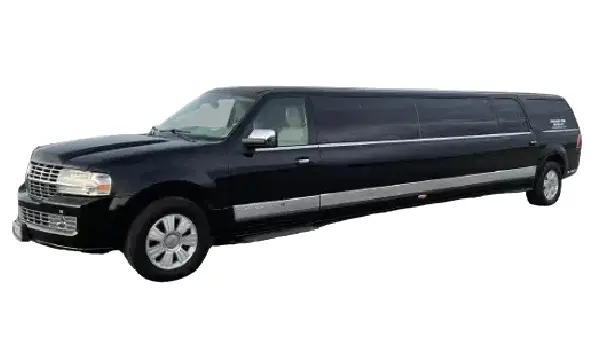 14 Passengers Navigator Limo