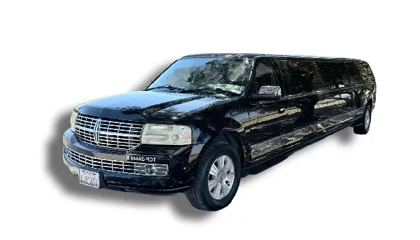 14 Passengers Navigator Limo (3)