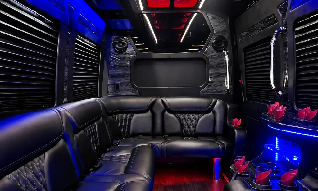14 Pax Sprinter Party Bus