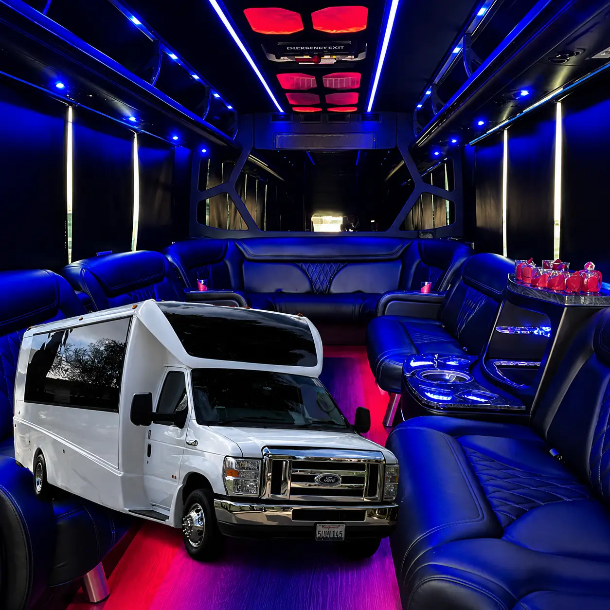18 passenger party bus