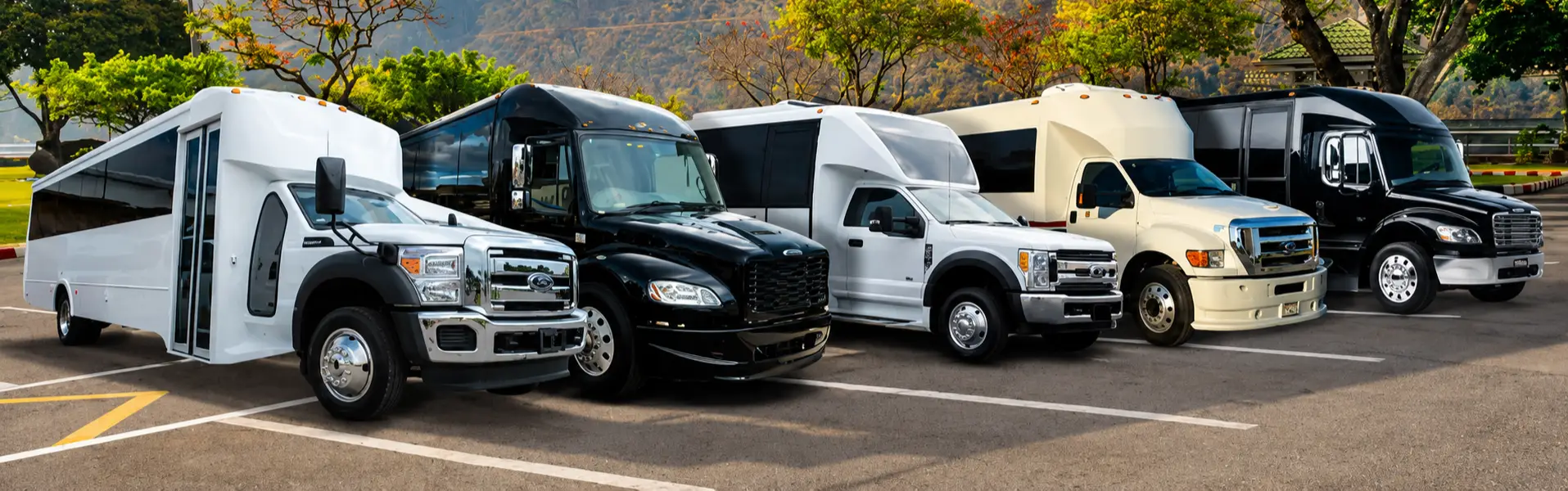 bay area party bus rental service